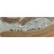 White Labelling x PoMo Yoga Mat - Silk Road (1.2mm)